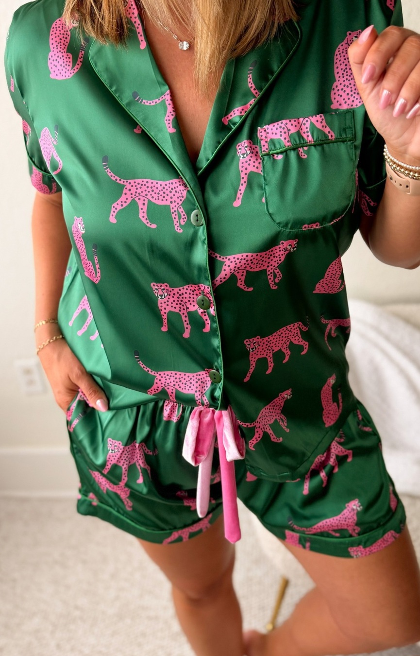 Cheetahs Set