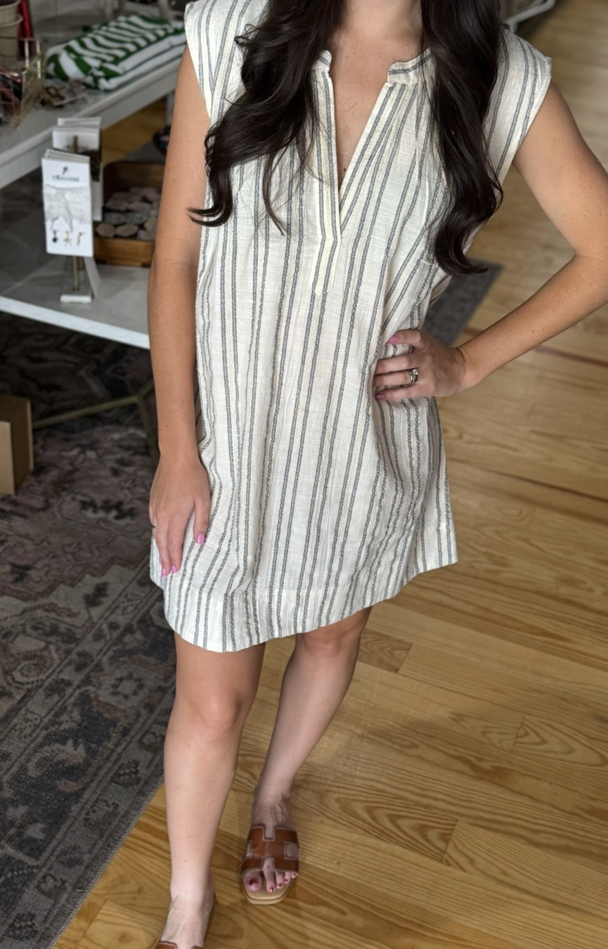 Minna Stripe Mini Dress