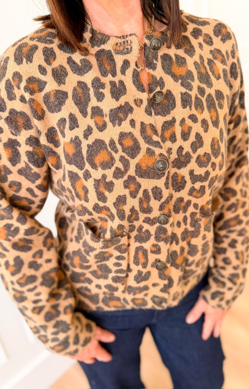Wilder Cardigan