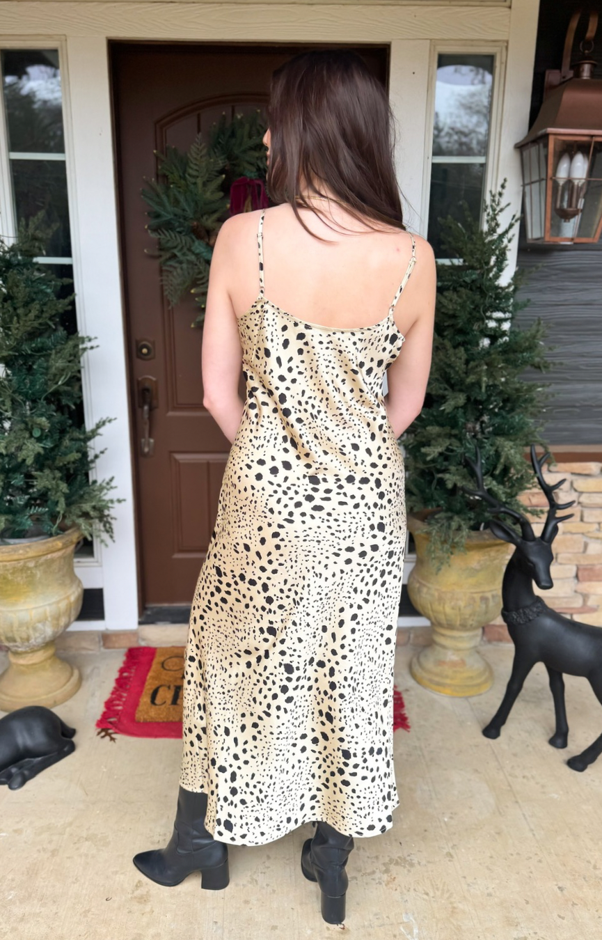 Crystal Savanna Dress