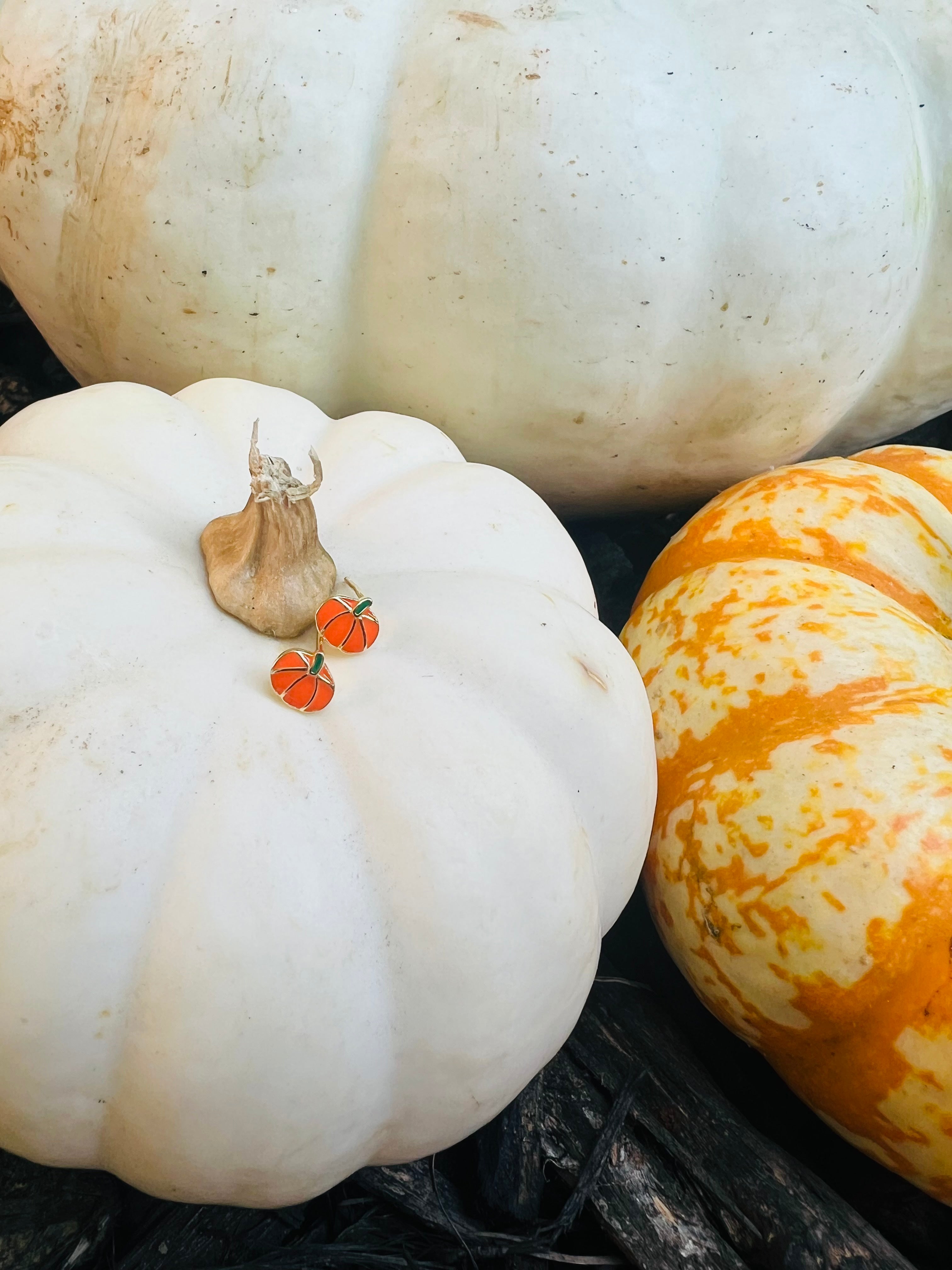 Pumpkin Studs