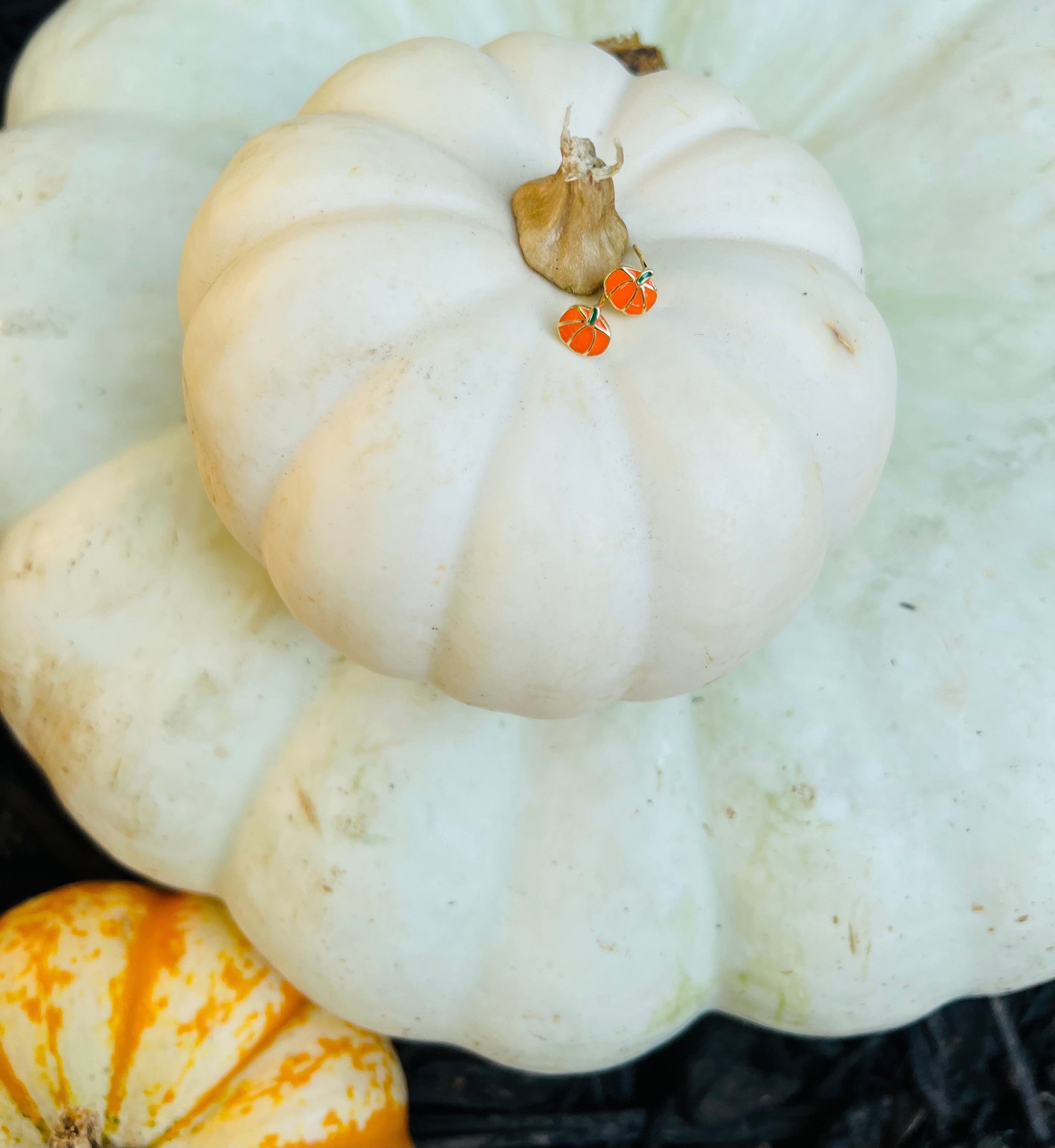 Pumpkin Studs